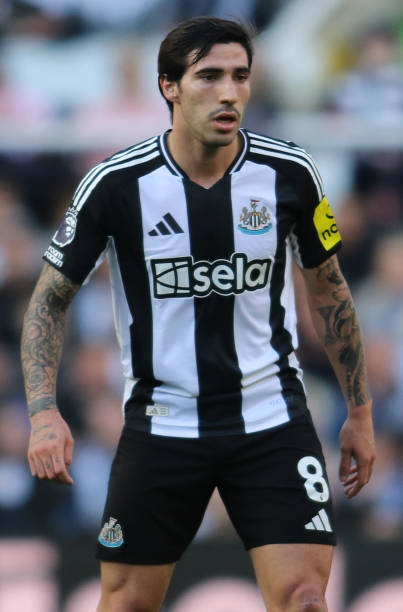 异彩的外援 异彩的外援