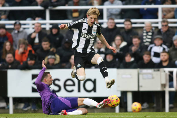 些特点完美 些特点完美